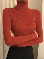 Alice - Einfacher Rollkragenpullover 19