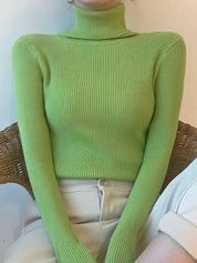 Alice - Einfacher Rollkragenpullover 2